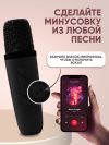 Караоке система с двумя беспроводными микрофонами и колонкой